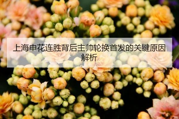 上海申花连胜背后主帅轮换首发的关键原因解析